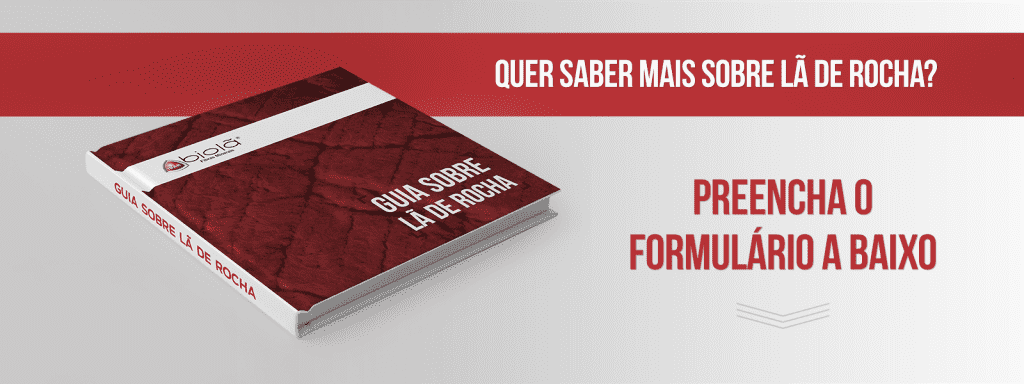 Guia Sobre Lã de Rocha Biolã – Biolã